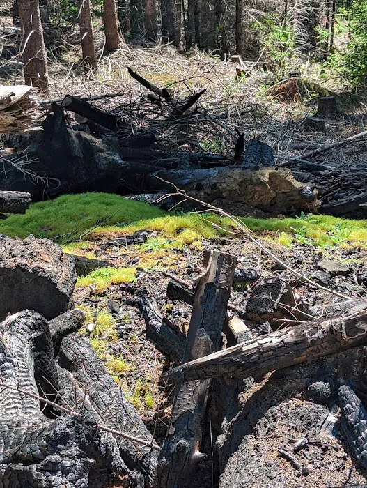 Big Buck Campground Picture 3