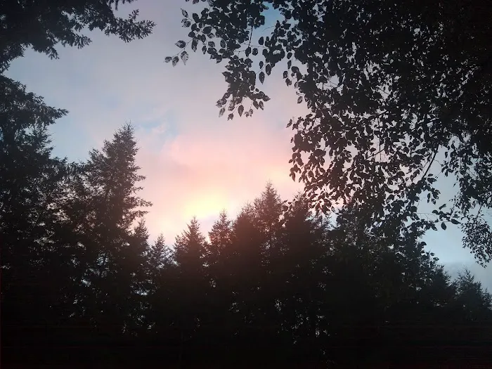 Big Buck Campground Picture 2