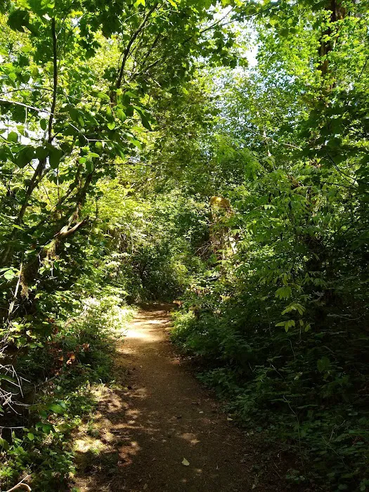 Big Buck Campground Picture 7