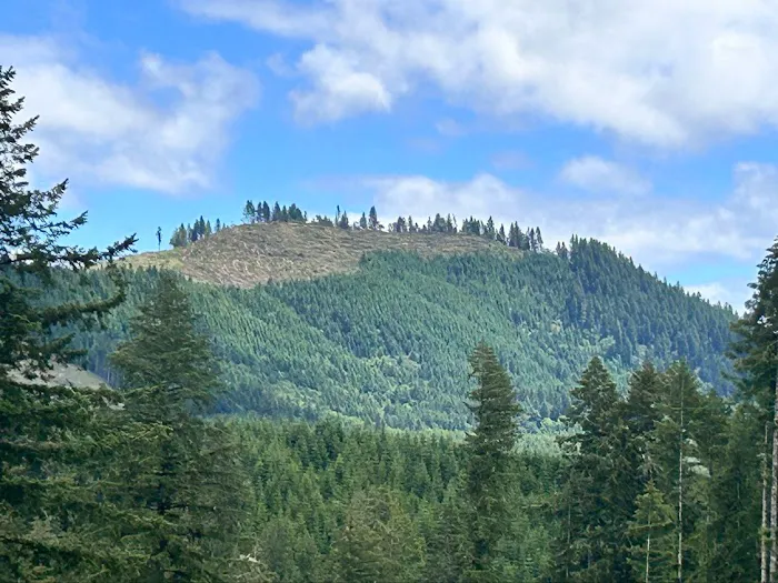 Big Buck Campground Picture 5