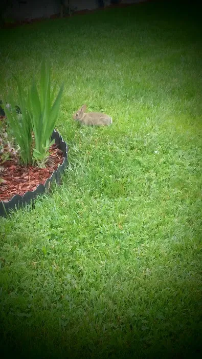 Brentwood Manor Inc Picture 3