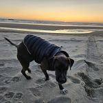 Woods County Campground