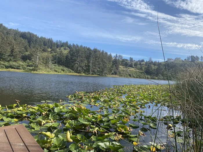 The Lake Pasture Picture 2