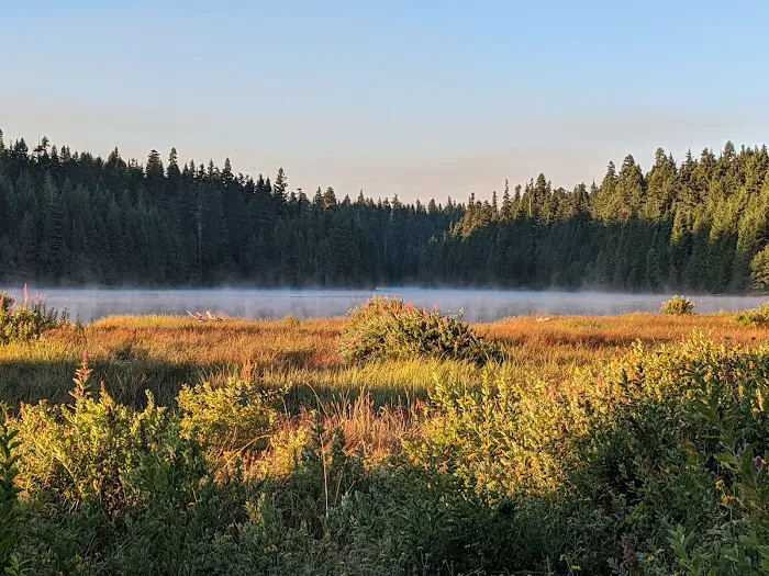 North Arm (Timothy Lake) Campground Picture 7