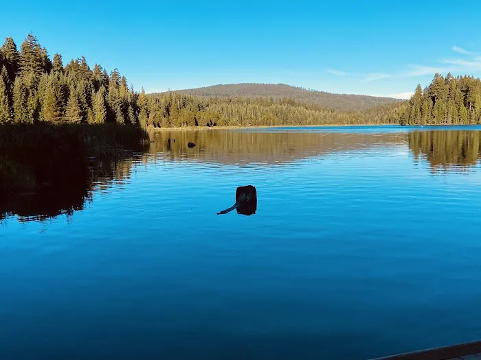 North Arm (Timothy Lake) Campground Picture 3