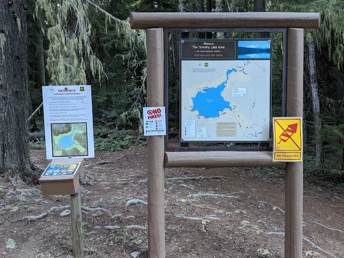 North Arm (Timothy Lake) Campground Picture 5