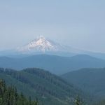 FS road 2130 Mt Hood National Forest