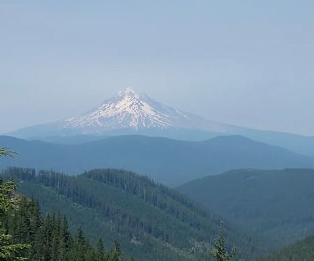 FS road 2130 Mt Hood National Forest
