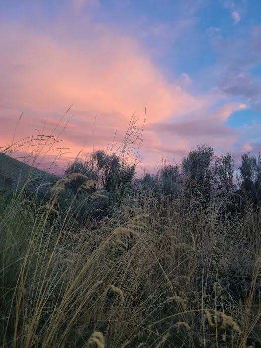 Davidson Flats Campground - leased to OPRD Picture 9