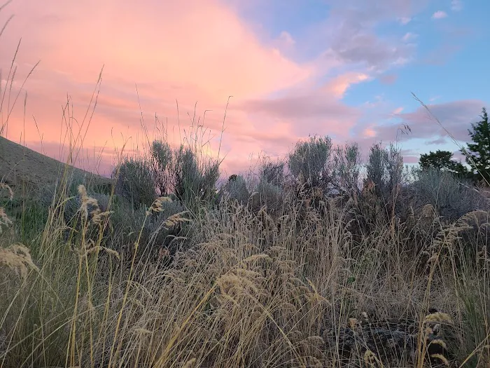 Davidson Flats Campground - leased to OPRD Picture 3