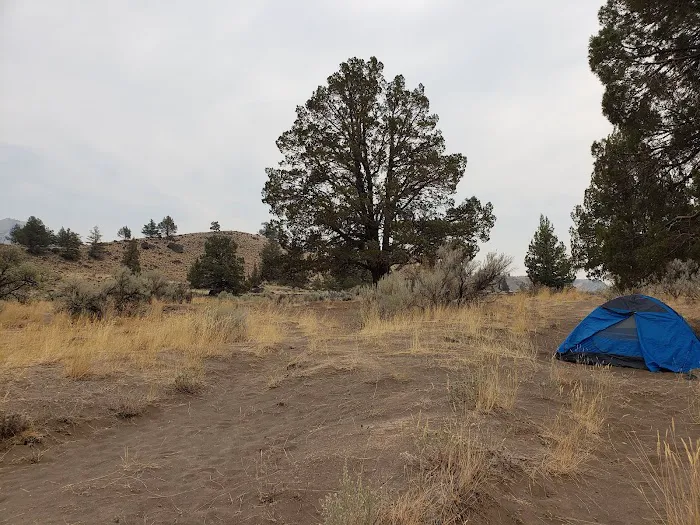 Davidson Flats Campground - leased to OPRD Picture 8