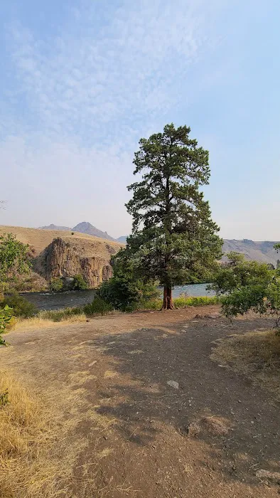 Davidson Flats Campground - leased to OPRD Picture 1