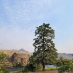 Davidson Flats Campground - leased to OPRD