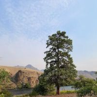 Davidson Flats Campground - leased to OPRD ico