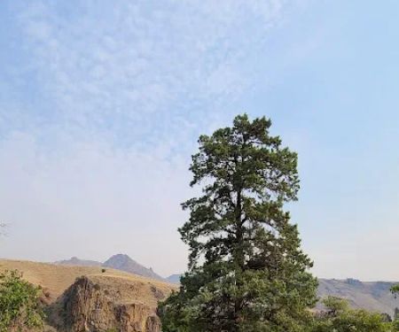 Davidson Flats Campground - leased to OPRD