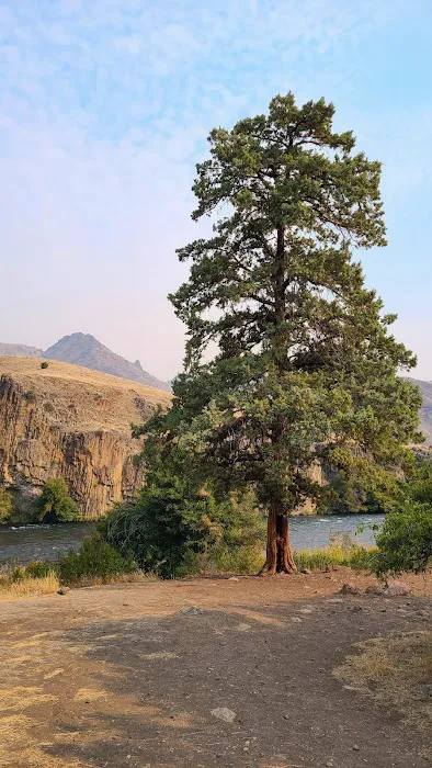 Davidson Flats Campground - leased to OPRD Picture 4