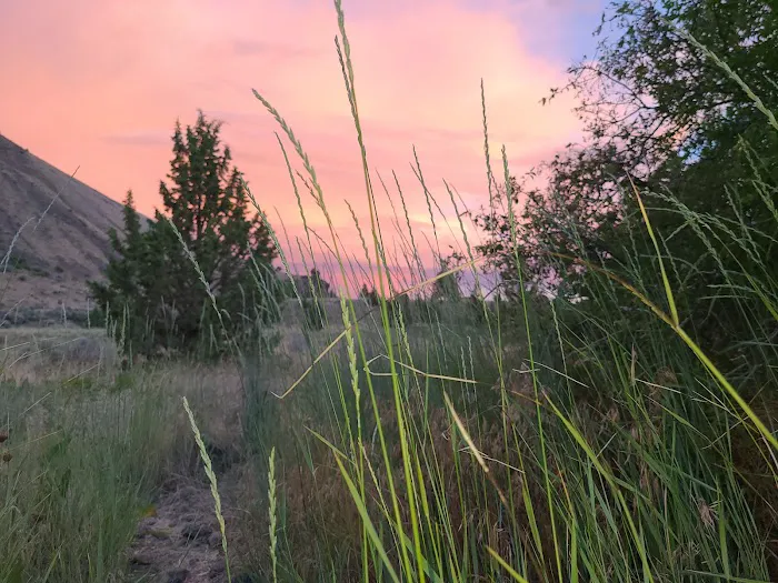 Davidson Flats Campground - leased to OPRD Picture 5