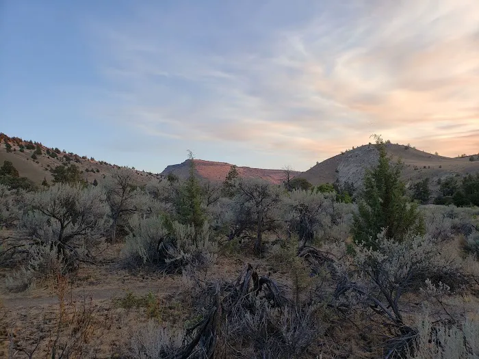 Upper Whitehorse Campground Picture 1