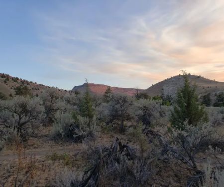 Upper Whitehorse Campground