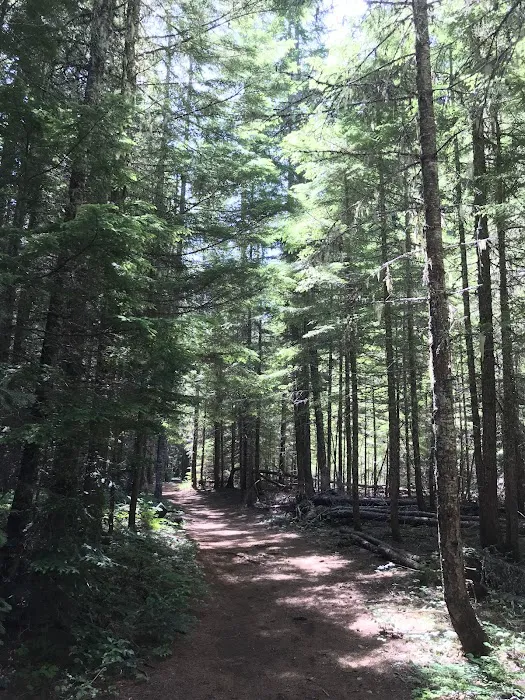 Little Crater Lake Campground Picture 3