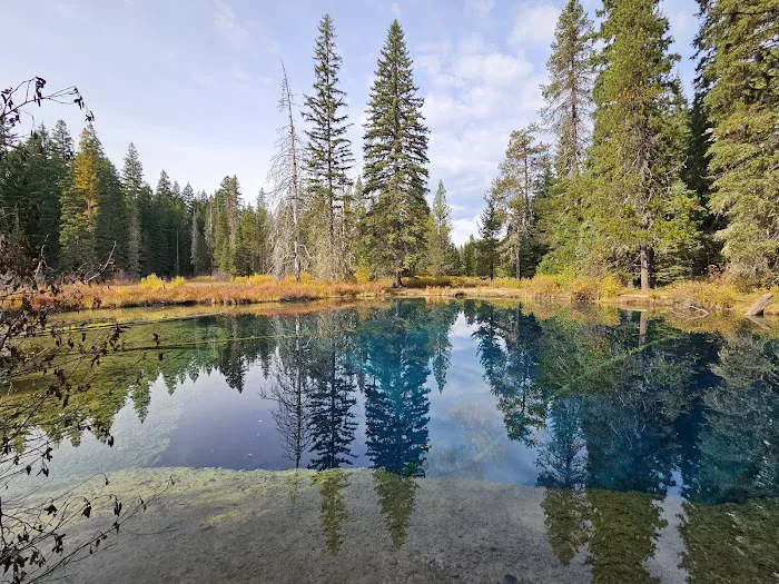 Little Crater Lake Campground Picture 1