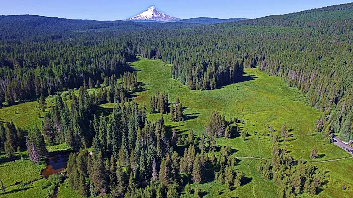 Little Crater Lake Campground Picture 6