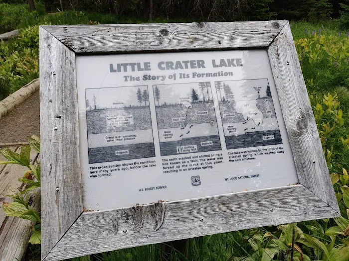 Little Crater Lake Campground Picture 10
