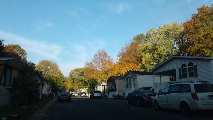 Fernwood Picture 2