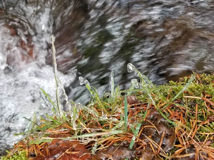 Thirteenmile Campground Picture 7
