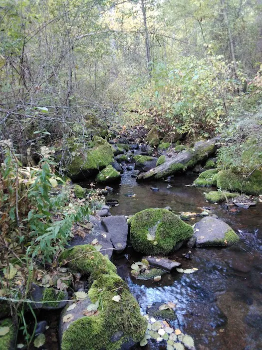 Thirteenmile Campground Picture 10