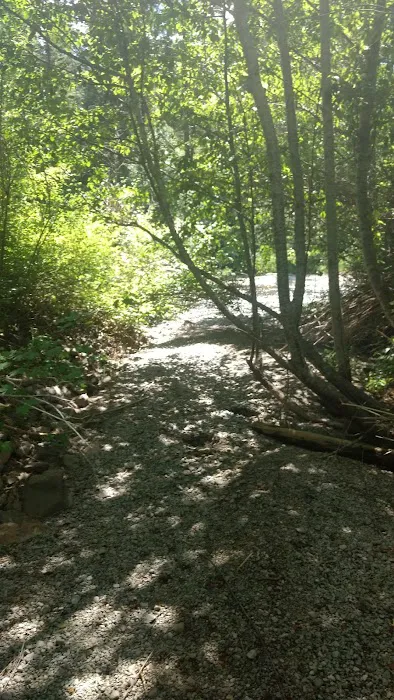 Twentyone Mile Campground Picture 1