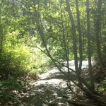 Twentyone Mile Campground