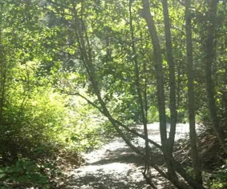 Twentyone Mile Campground