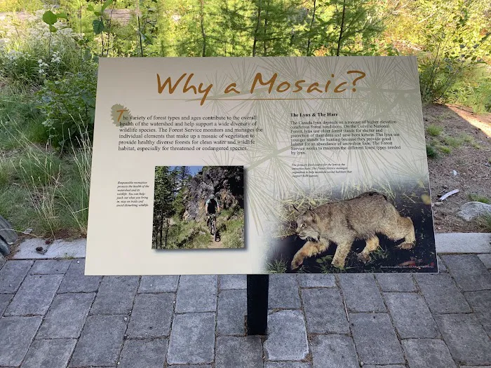 Sherman Pass Campground Picture 1