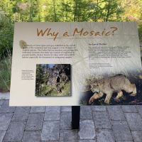 Sherman Pass Campground ico