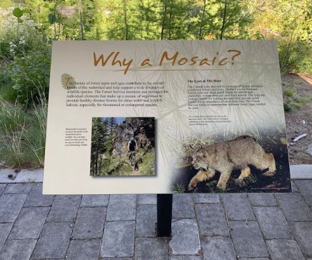 Sherman Pass Campground