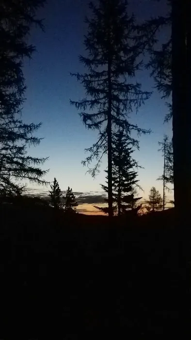 Sherman Pass Campground Picture 5