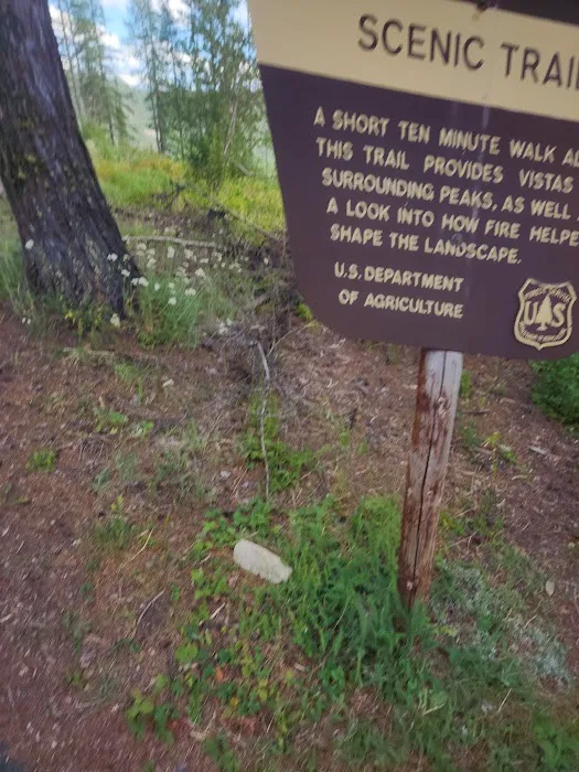 Sherman Pass Campground Picture 6