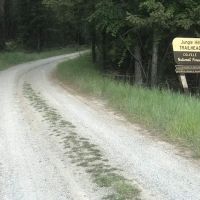 Jungle Hill Horse Campground ico