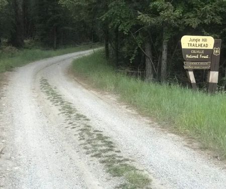 Jungle Hill Horse Campground