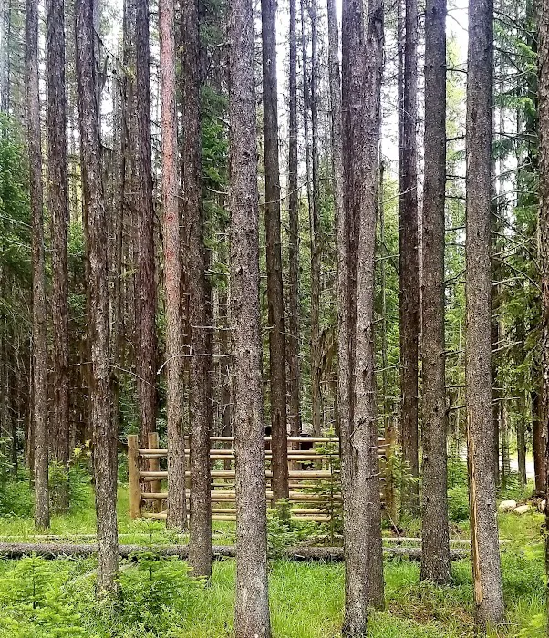 Jungle Hill Horse Campground Picture 2