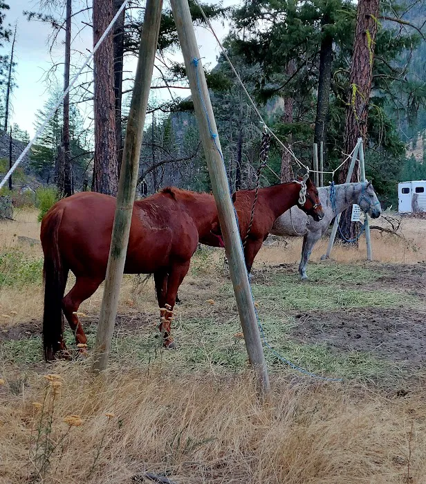Whistlin' Pine Ranch Picture 9