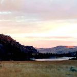 Whistlin' Pine Ranch