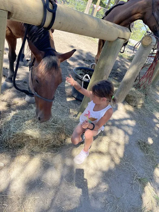 Chelan Mountain View Ranch Picture 6