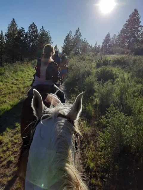 Chelan Mountain View Ranch Picture 2