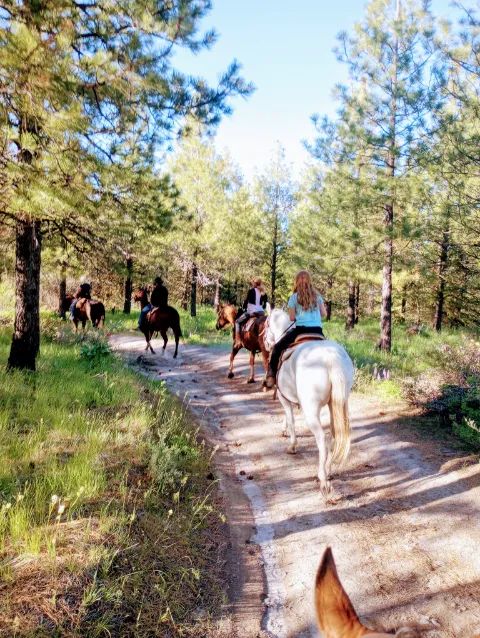 Chelan Mountain View Ranch Picture 3