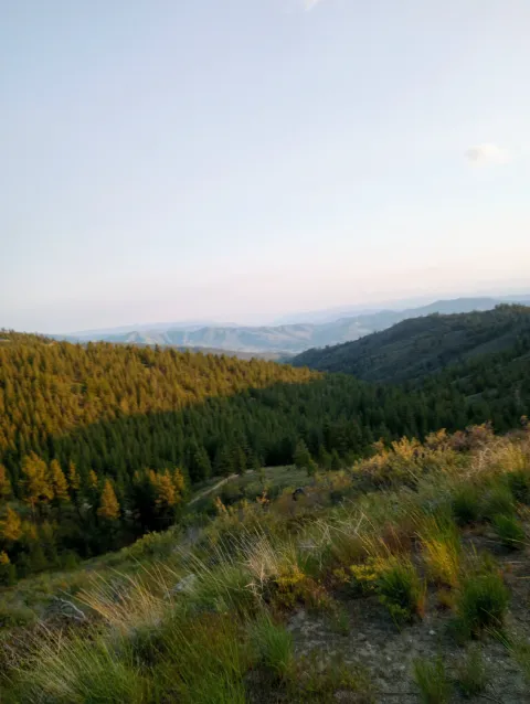 Chelan Mountain View Ranch Picture 9
