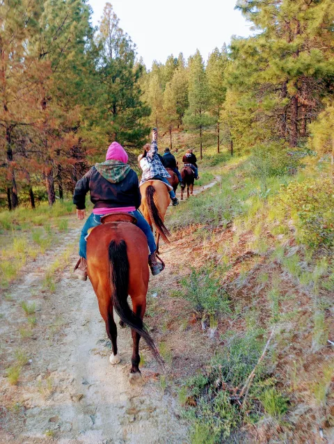 Chelan Mountain View Ranch Picture 4