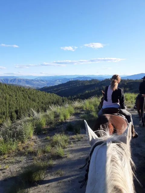 Chelan Mountain View Ranch Picture 5