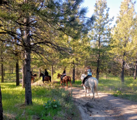 Chelan Mountain View Ranch Picture 1